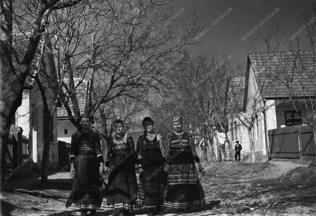 Békásmegyer: Új telepesek I.