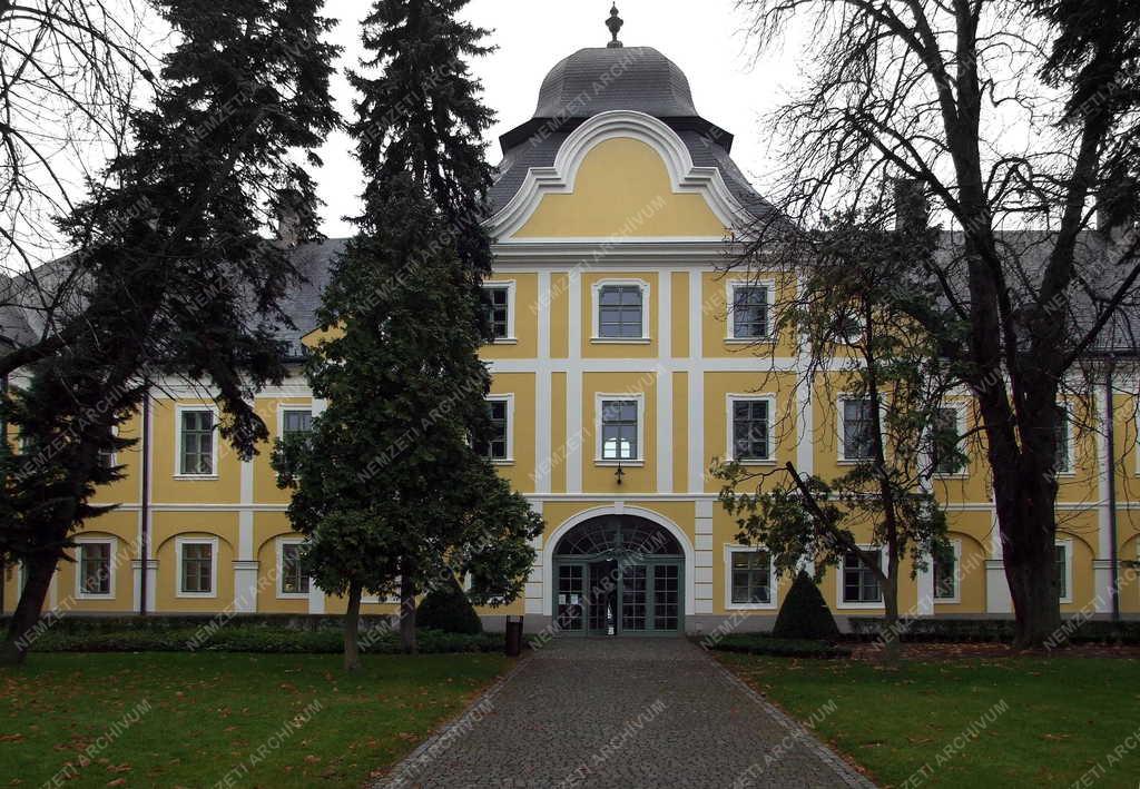 Városkép - Hatvan - Grassalkovich-kastély