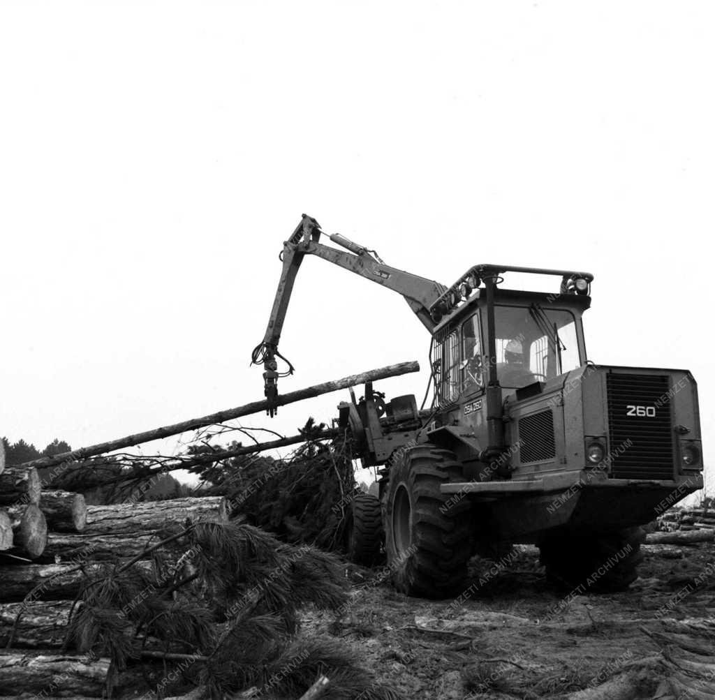 Fakitermelő géplánc  