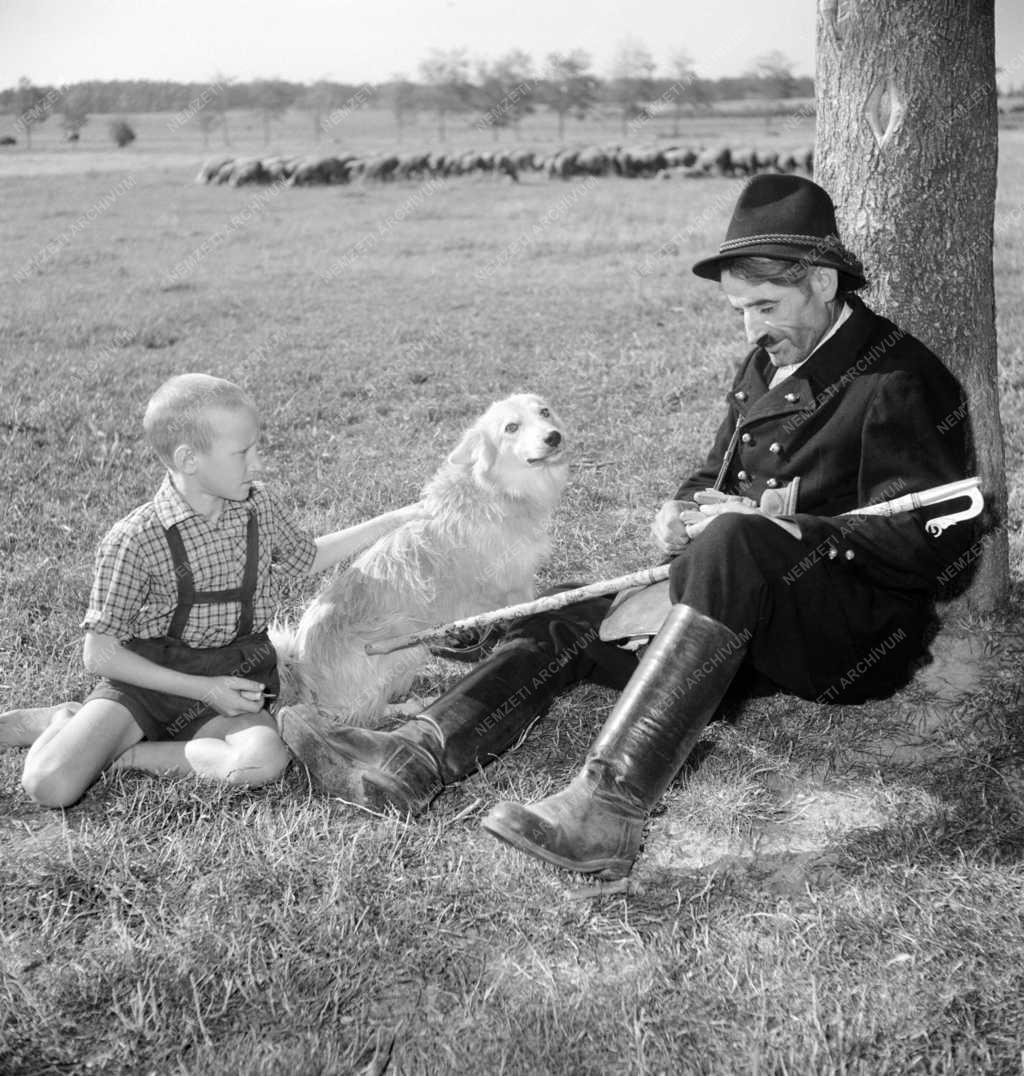 Életkép - Fafaragó juhász