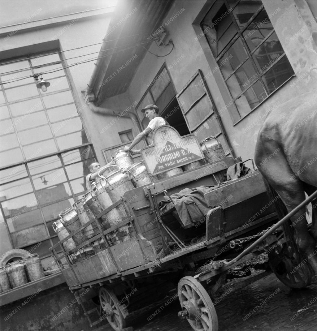 Élelmiszeripar - Magyar Tej- és Tejtermék Forgalmi Rt.