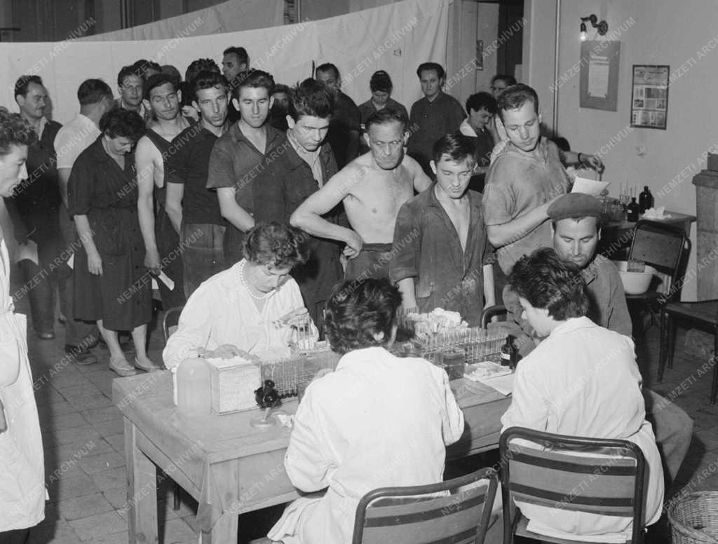 Egészségügy - Önkéntes véradás