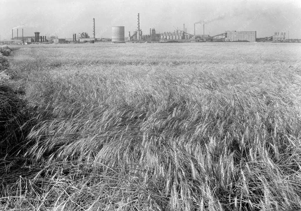 Gazdaság - Sztálin Vasmű