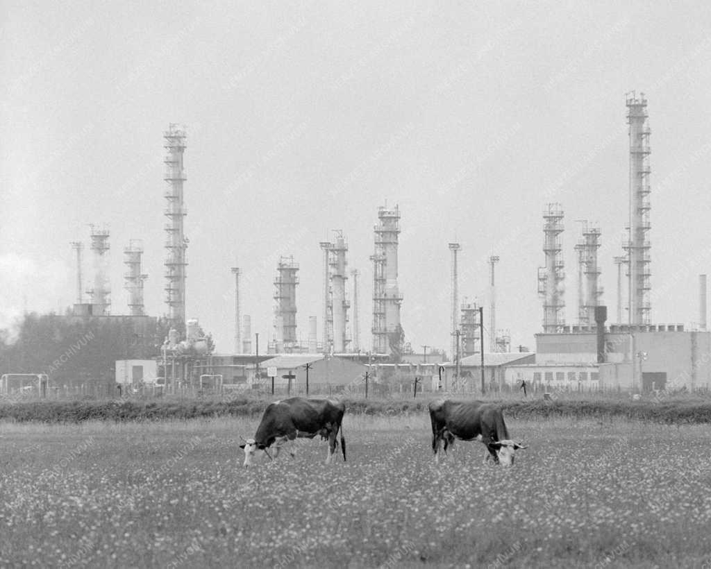 Ipar - Energia - A gázfeldolgozó üzemben