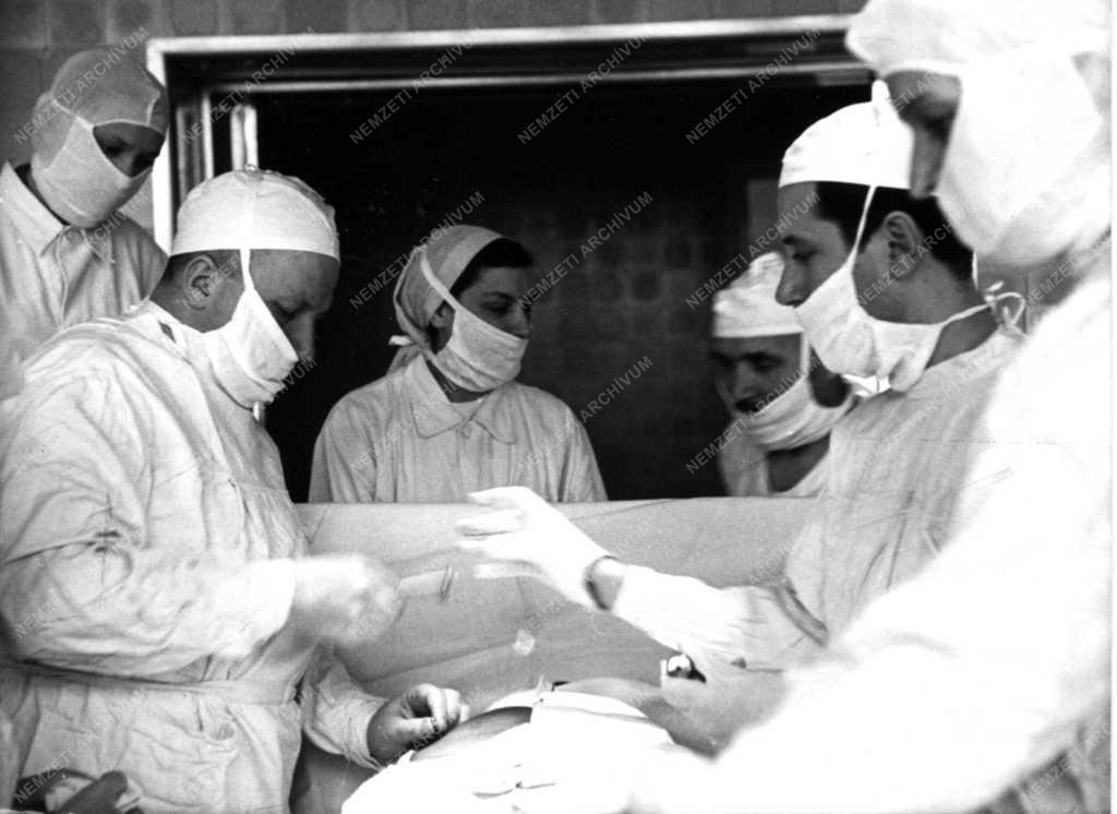 Egészségügy - Petrovszkij Budapesten