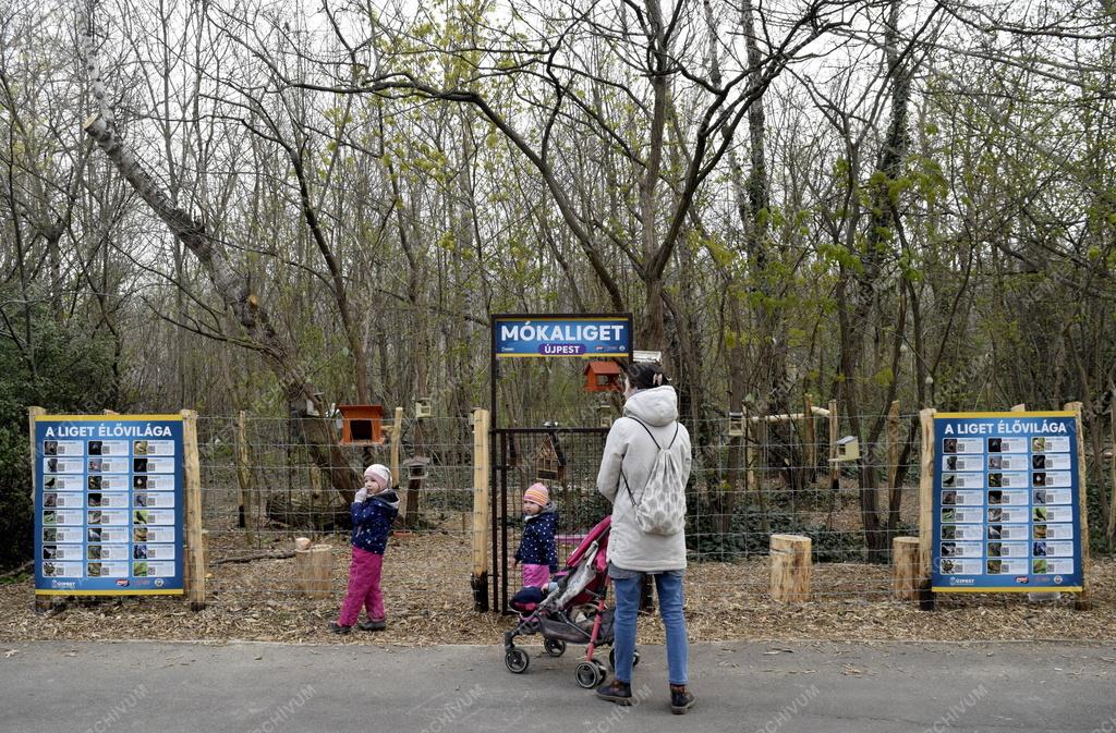 Természetvédelem - Budapest - Mókaliget létesült Újpesten