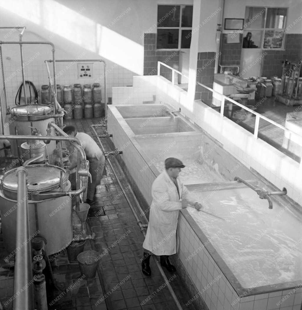 Mezőgazdaság - Tejipar - Bácsbokodi tejüzem