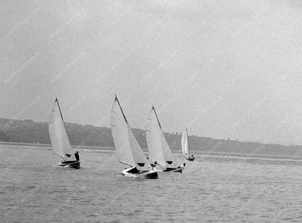 Táj - Tihany - Vitorlások a Balatonon