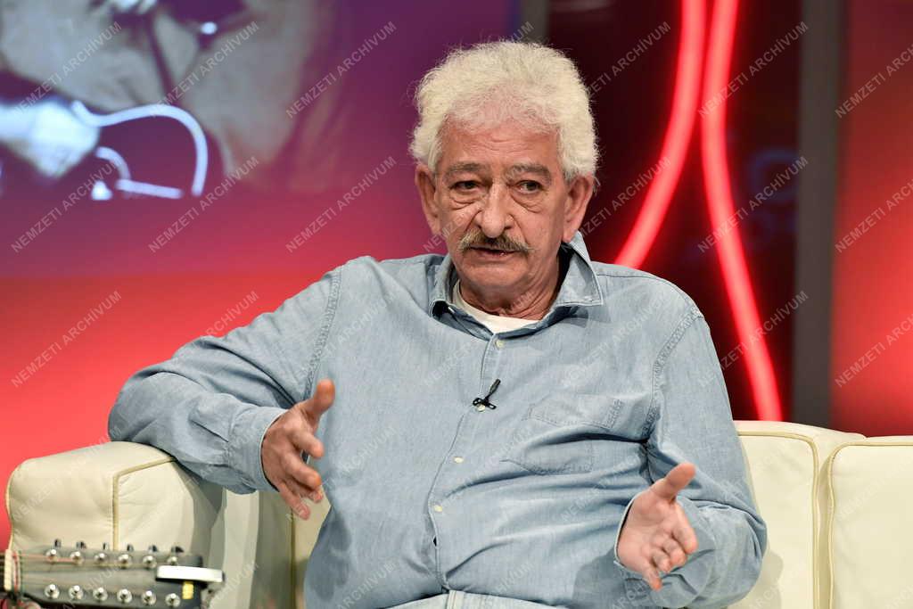 Televízió - Hogy volt?! - Czipó Tibor