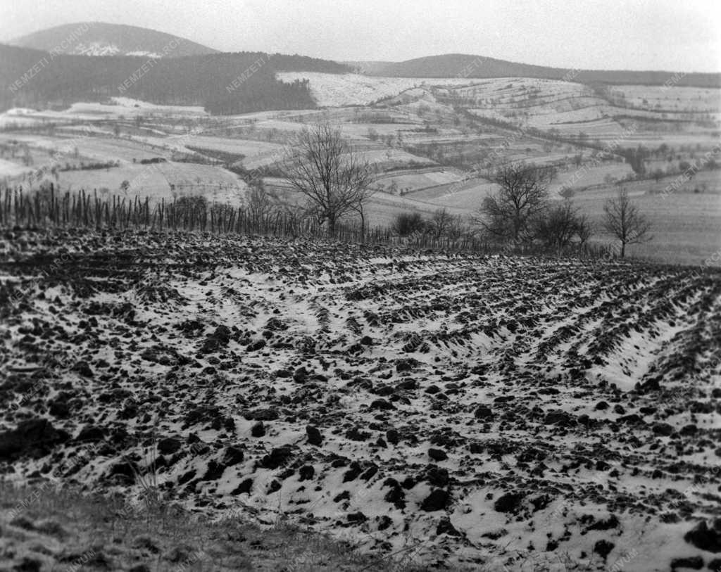 Évszak - Tél - Nagybörzsönyi táj