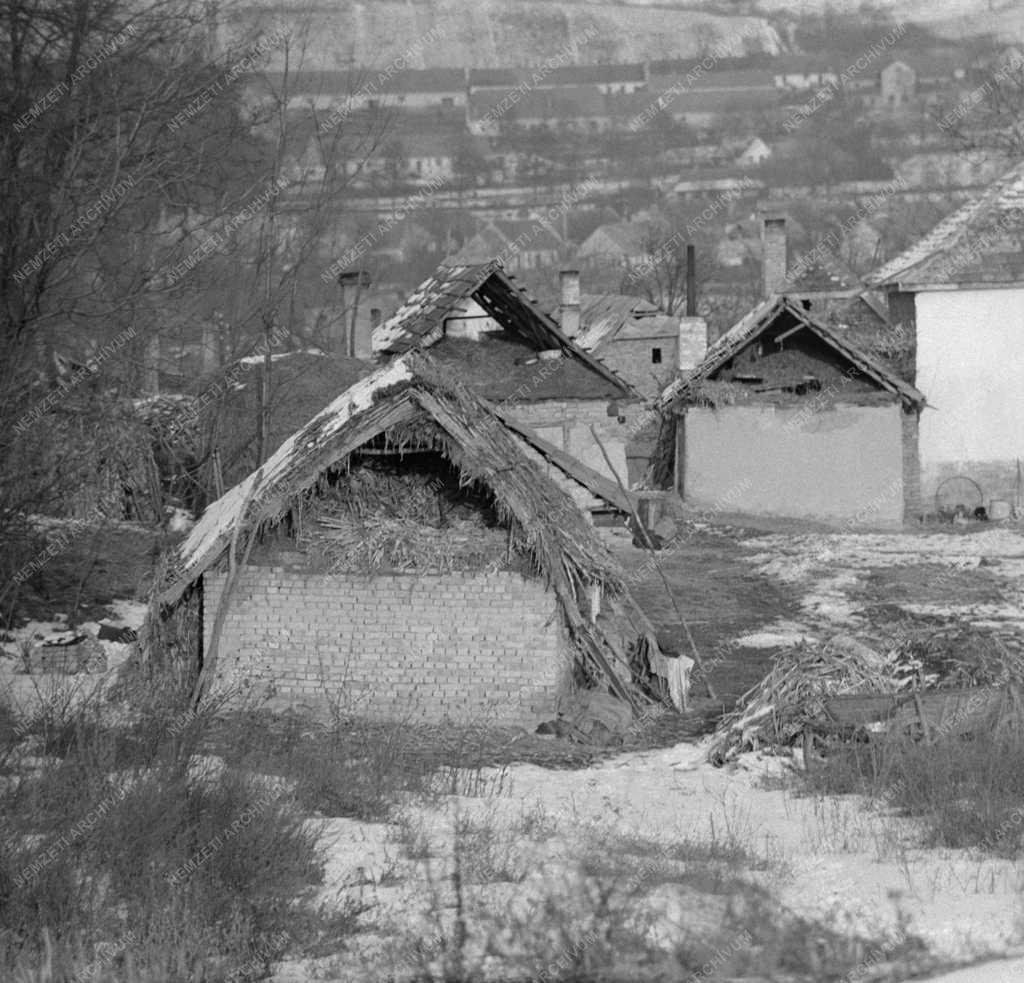 Társadalmi kérdés - Szegénység