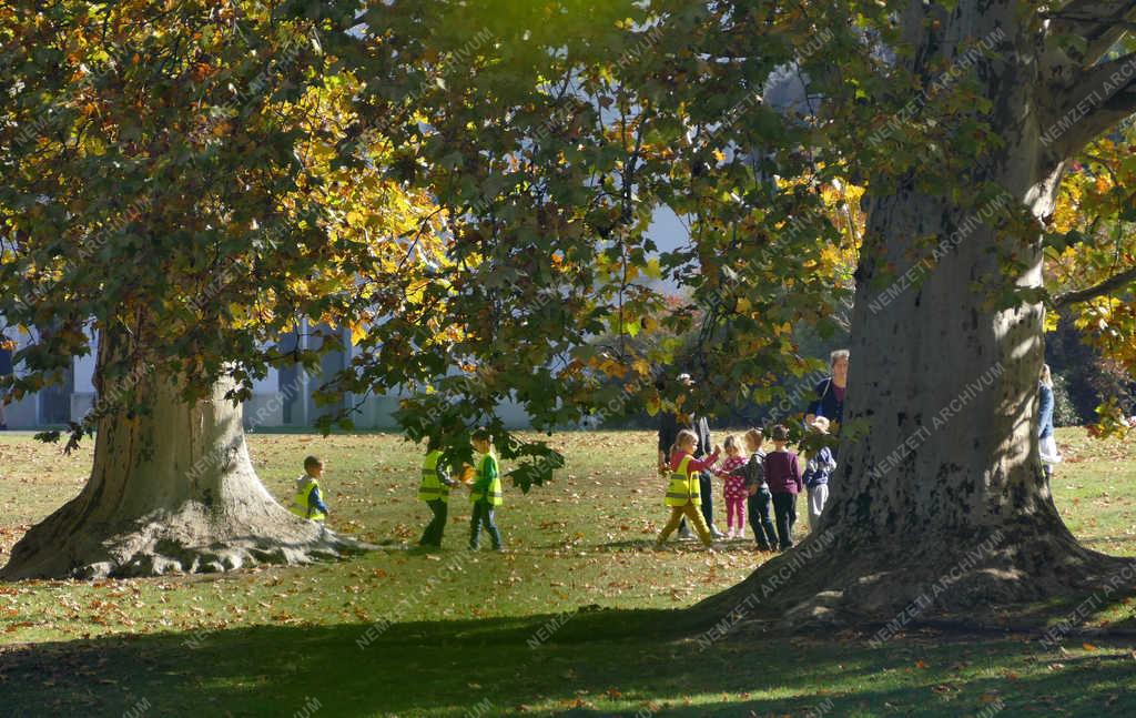 Természet - Martonvásár - Ősz a Brunszvik-kastély parkjában