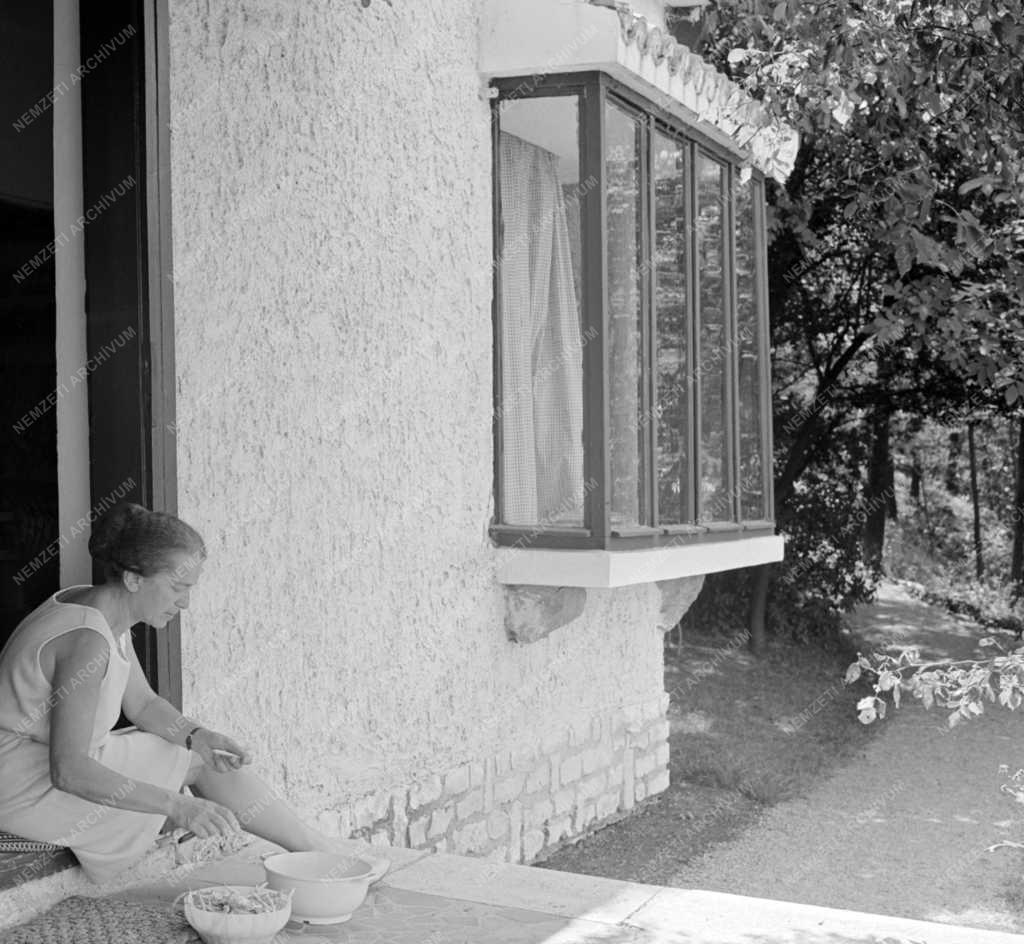 Kultúra - Pihenő művészek a Balaton mellett