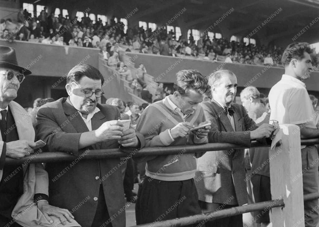 Sport - Budapest – Bécs ügetőverseny  
