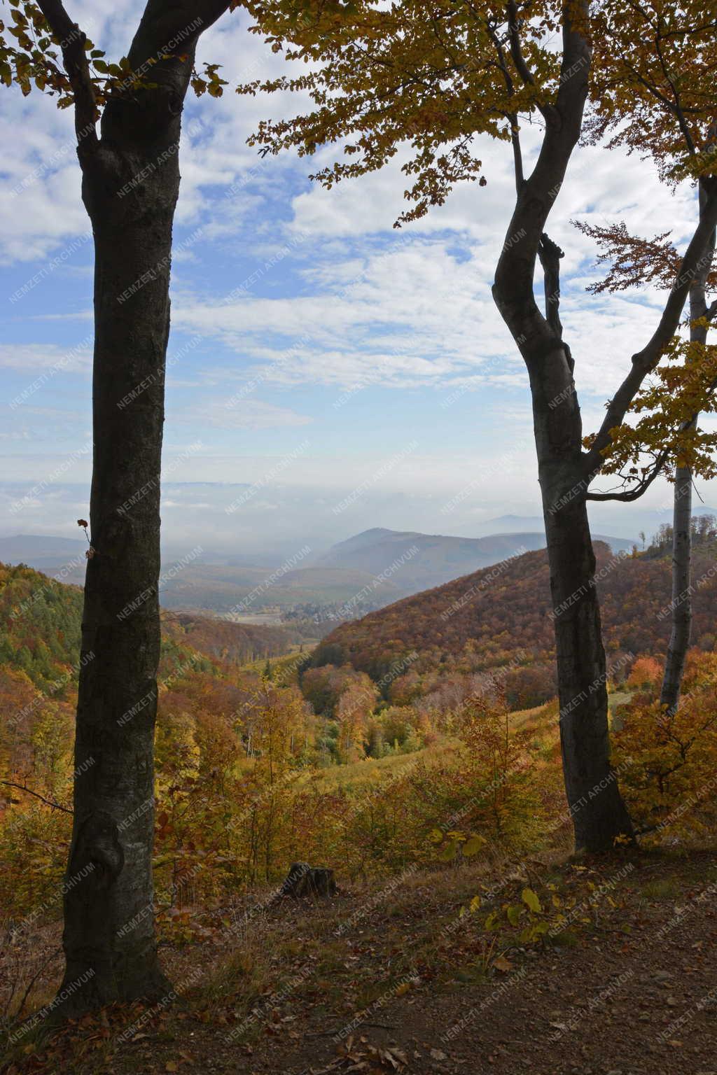 Természet - Galyatető - Őszi erdő