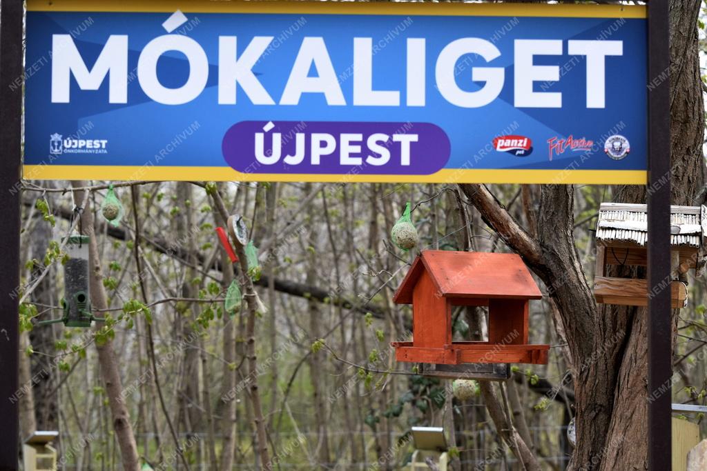 Természetvédelem - Budapest - Mókaliget létesült Újpesten