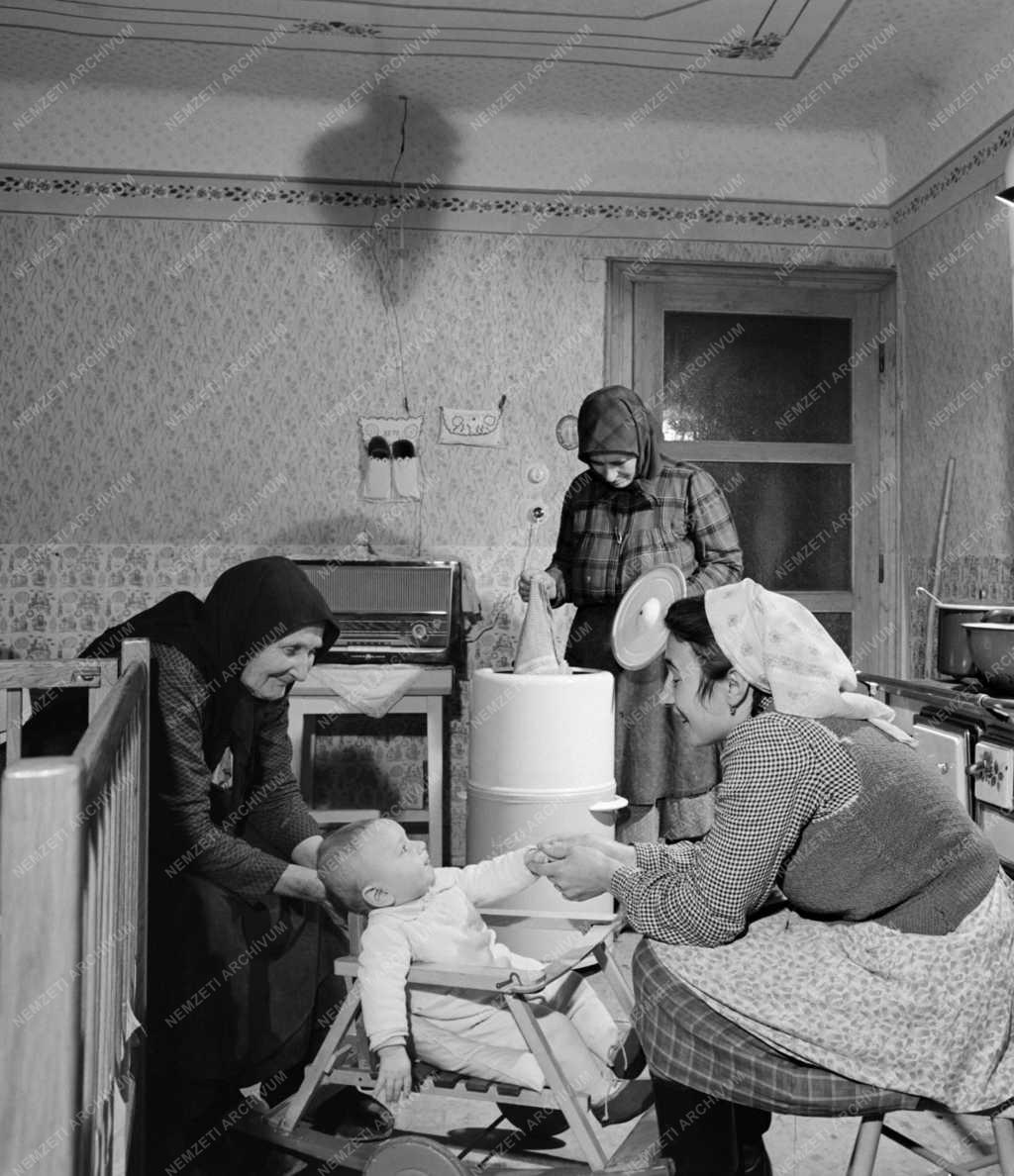 Mezőgazdaság - Zalavári Új Idők Termelőszövetkezet