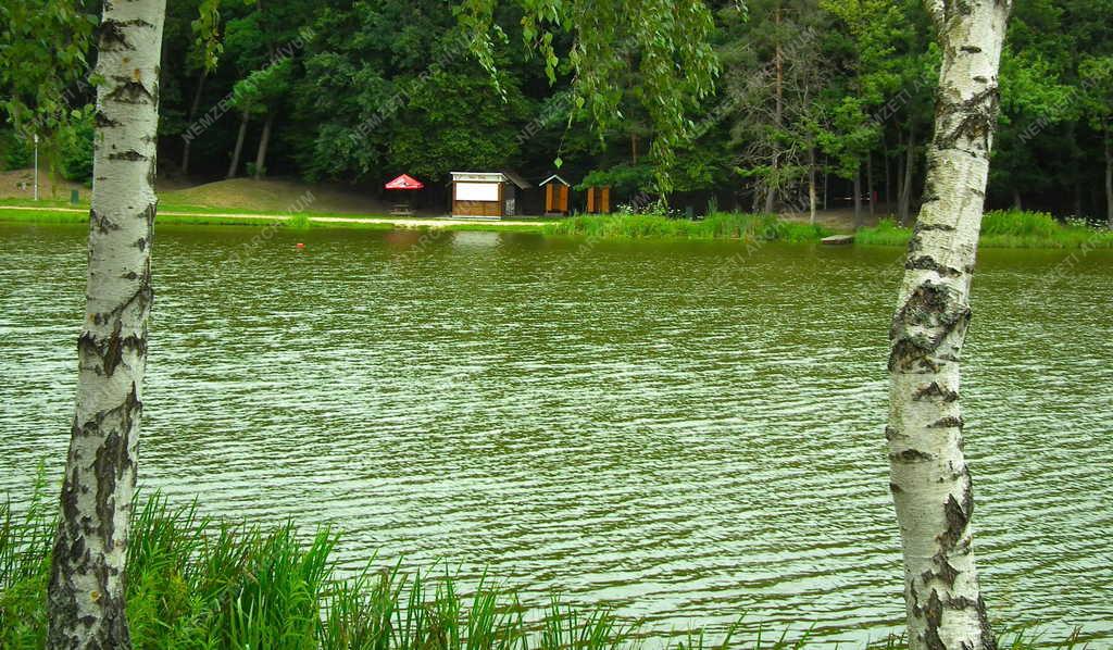 Tájkép - Hegyhátszentjakab - A Vadása-tó