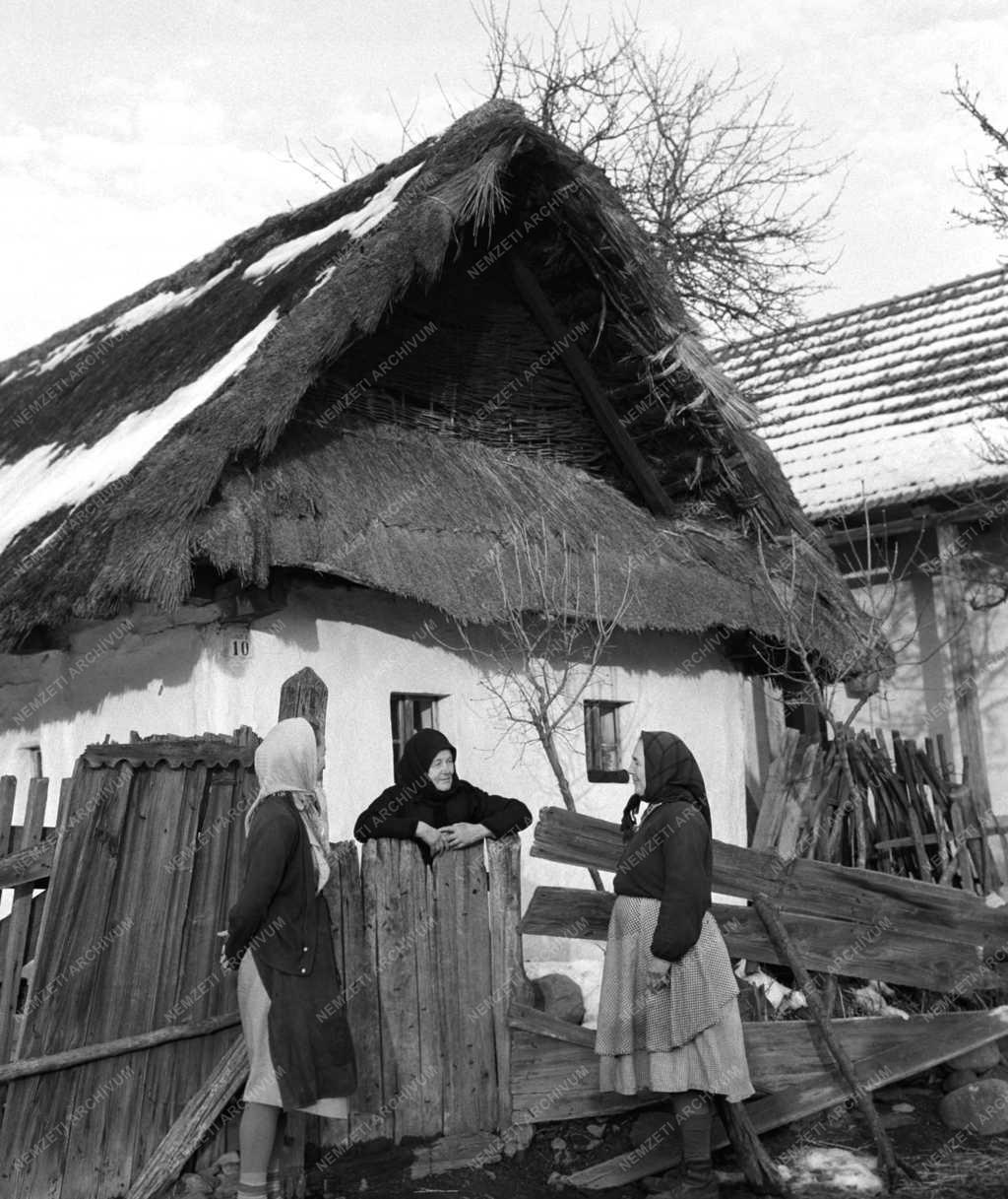 Kultúra - Múzeum Parádon