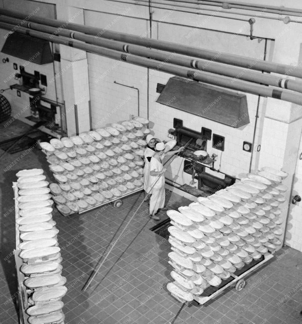 Élelmiszeripar - A Jászberényi Kenyérgyár