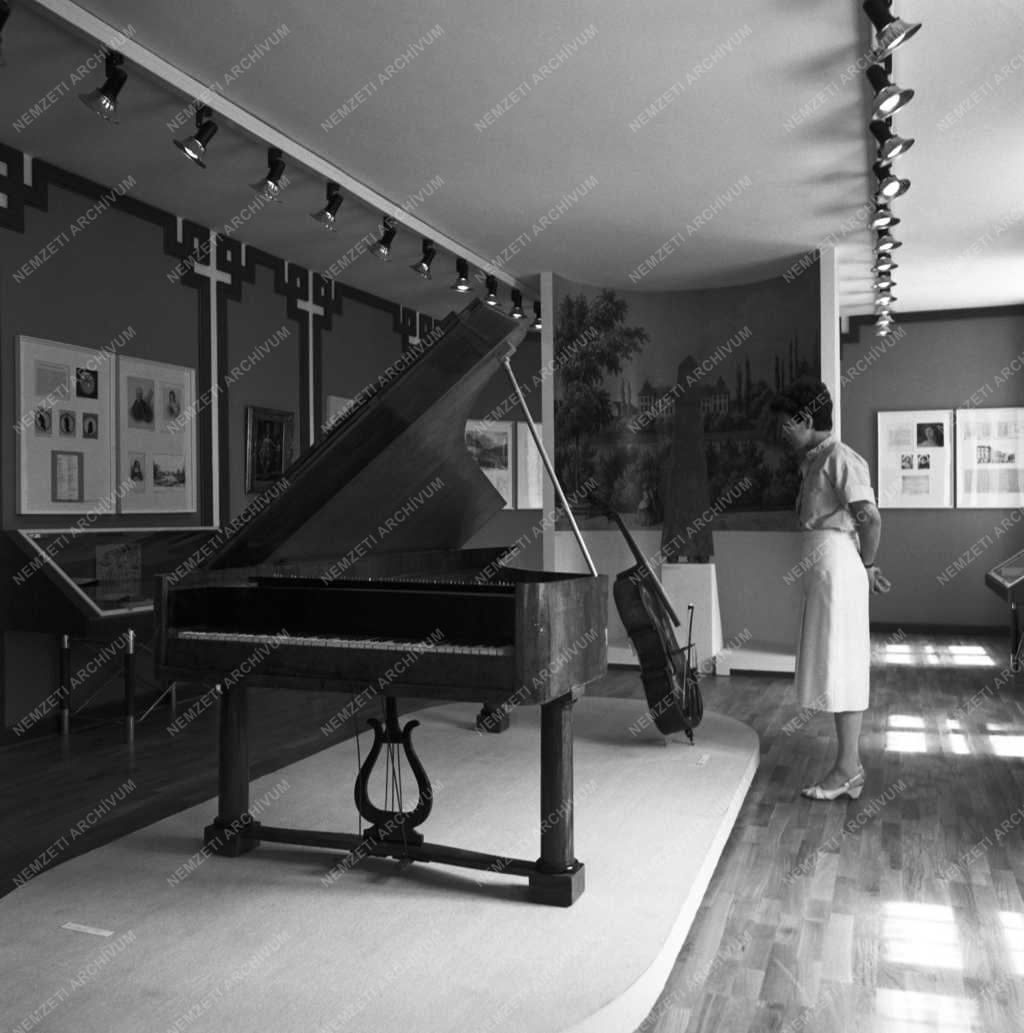 Kultúra - Beethoven Múzeum