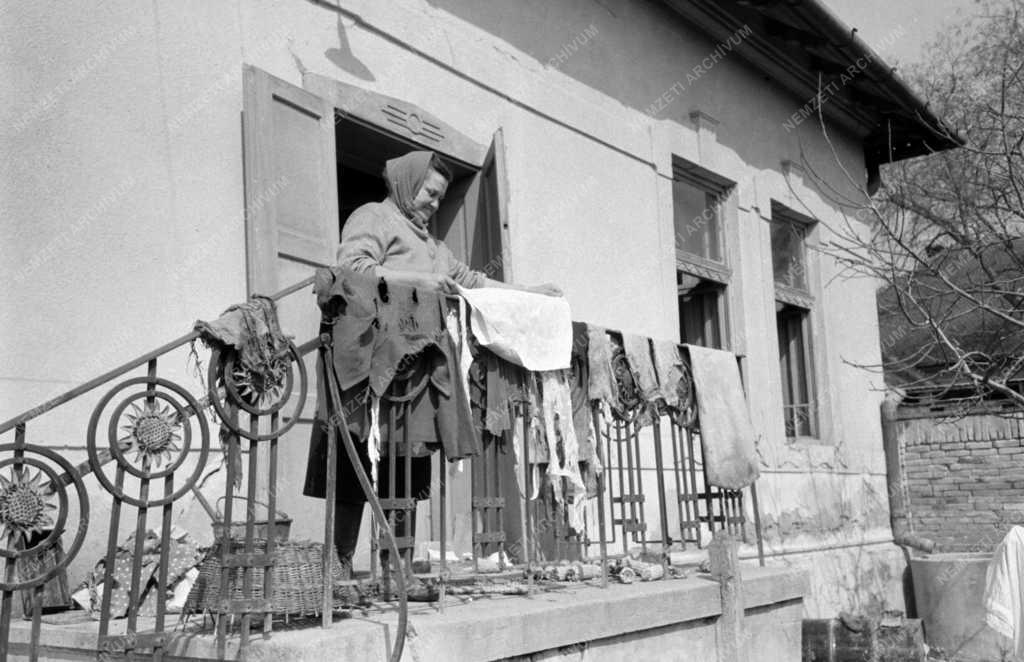 Árvíz - A dunai árvíz károsultjai