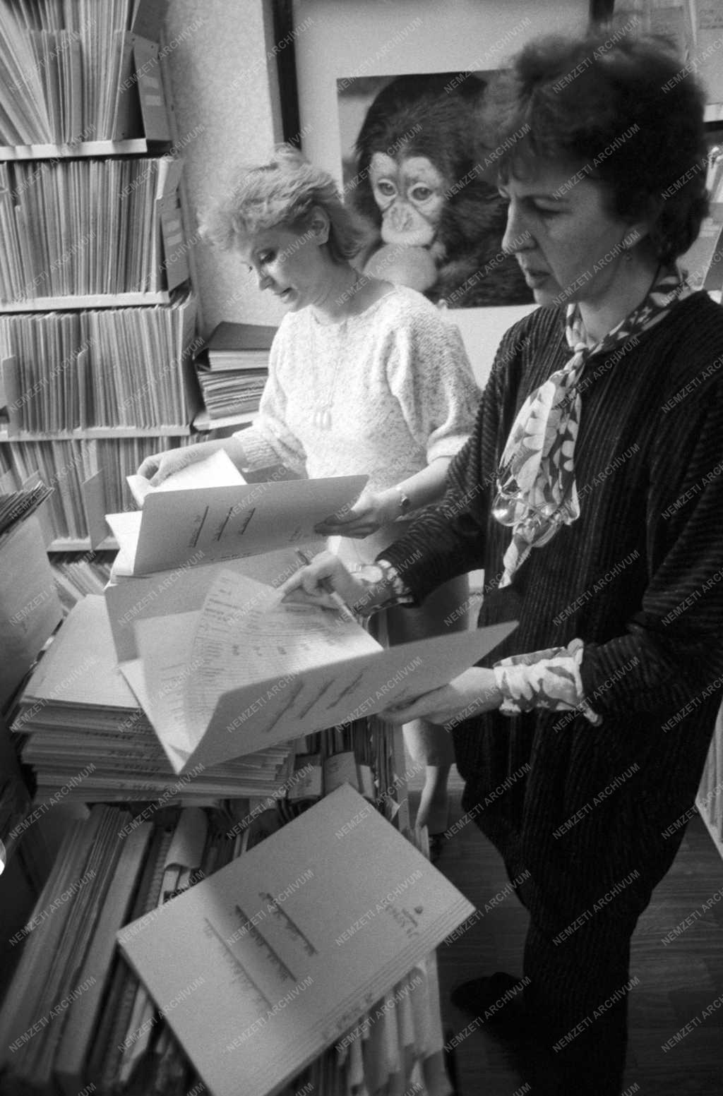 Intézményrendszer - Adó- és Pénzügyi Ellenőrzési Hivatal