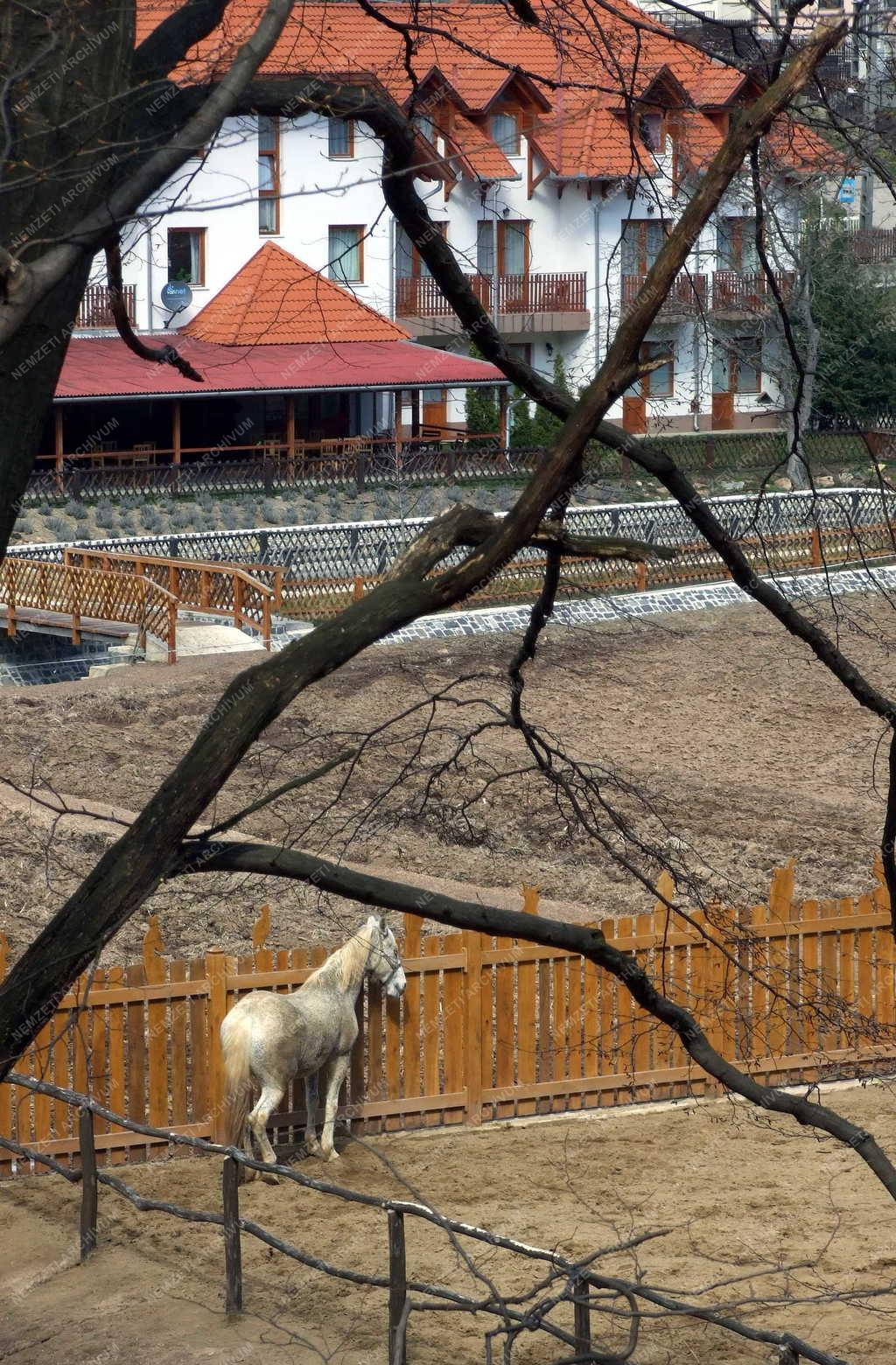Vendéglátás - Komlóska - Sólyomvár panzió 