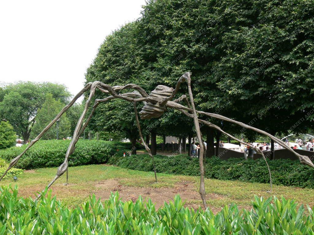 Washington - Pók - Képzőművészeti múzeum