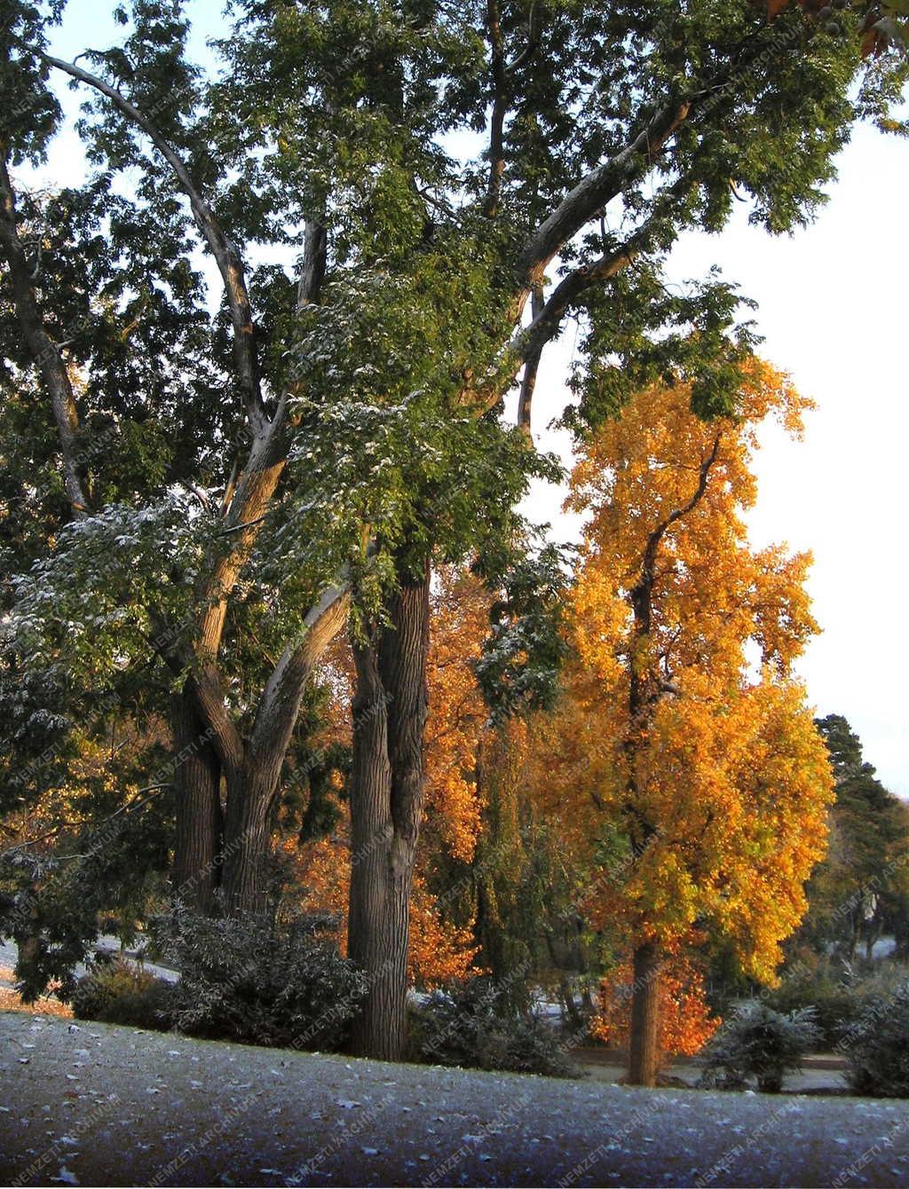 Burgenland – Eisenstadt – Ősz az Esterházy-kastély parkjában