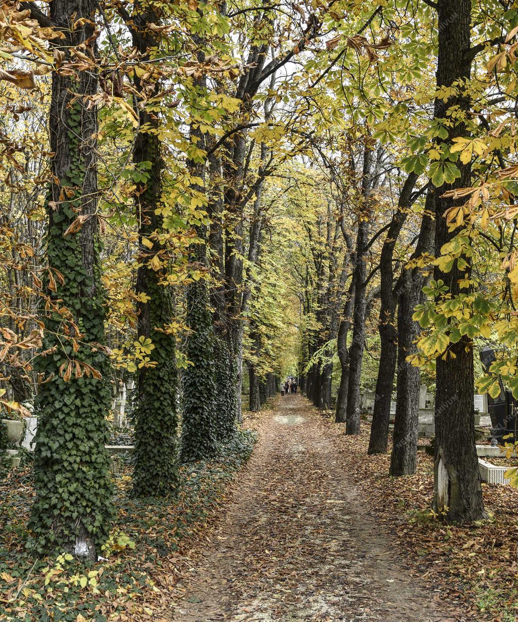 Temető - Budapest - Új köztemető