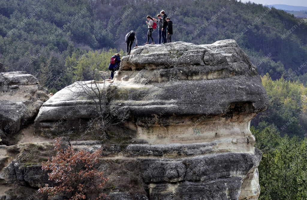 Természet - Biatorbágy - Turisták a Nyakas-kő sziklaormán 