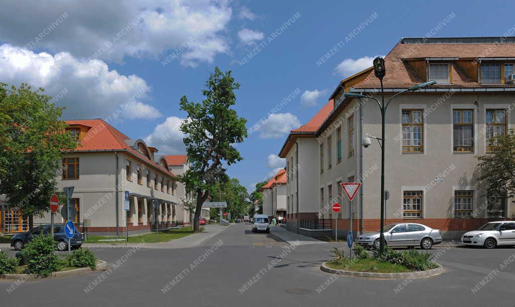 Egészségügy - Debrecen - Egységes betegellátó-rendszer
