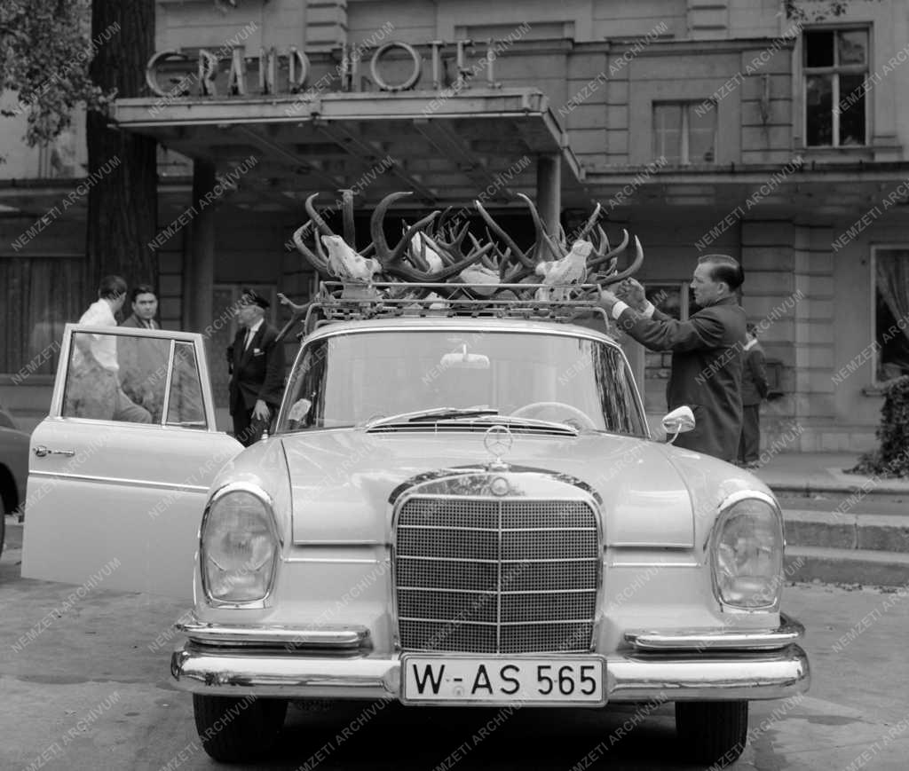 Érdekesség - Világrekorder szarvast lőtt a német vadász