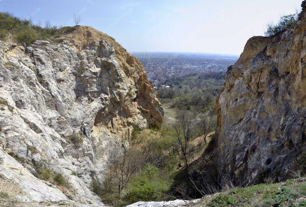 Természet - Budapest - Kőfejtő a Róka-hegyen