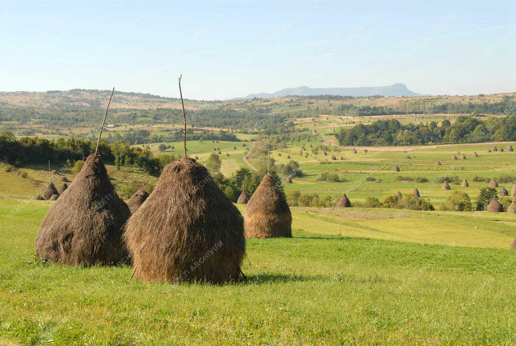 Románia - Iza völgye