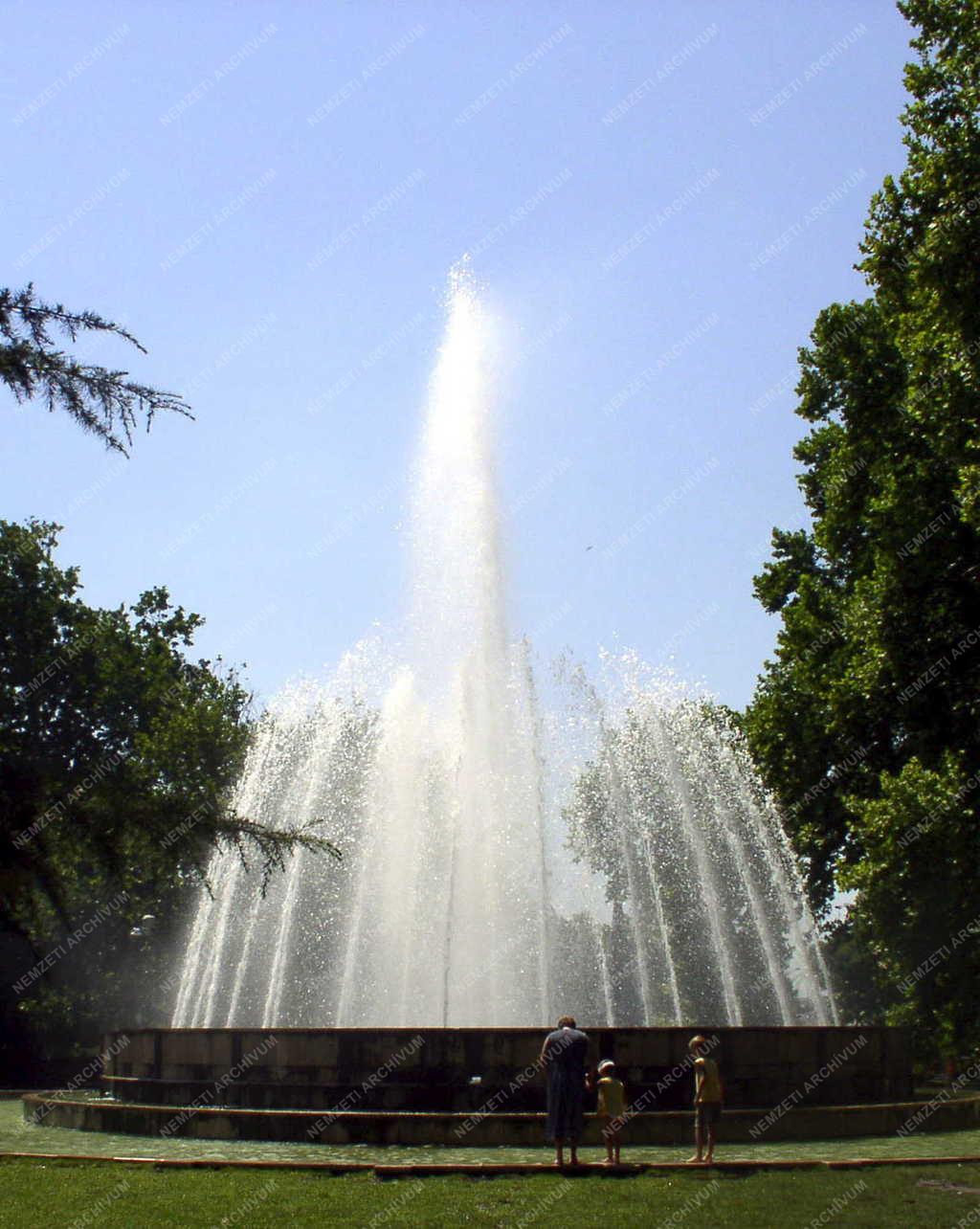Budapest - Margitsziget - Szökőkút
