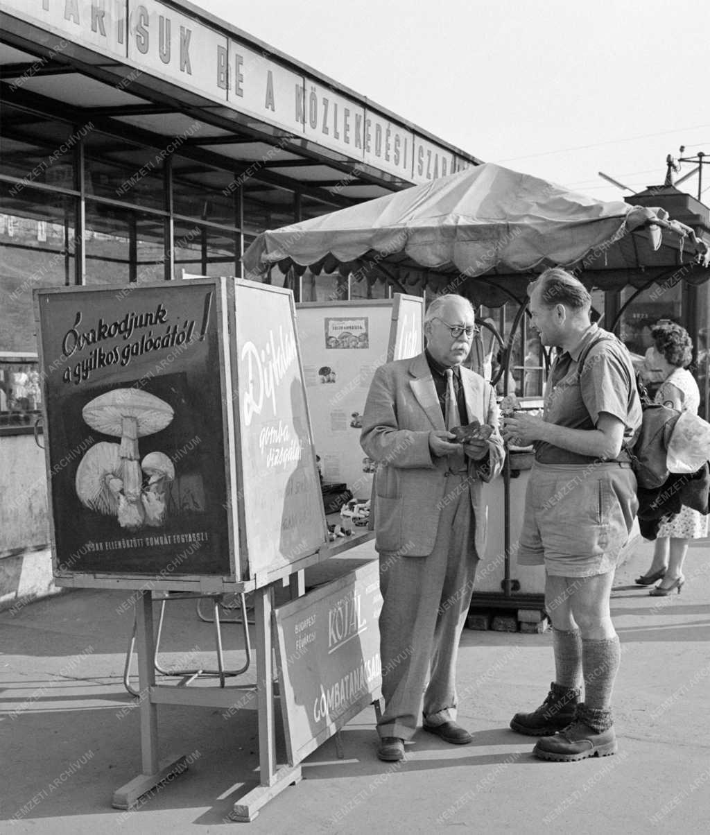 Mezőgazdaság - Gombaszakértői állomás a Moszkva téren