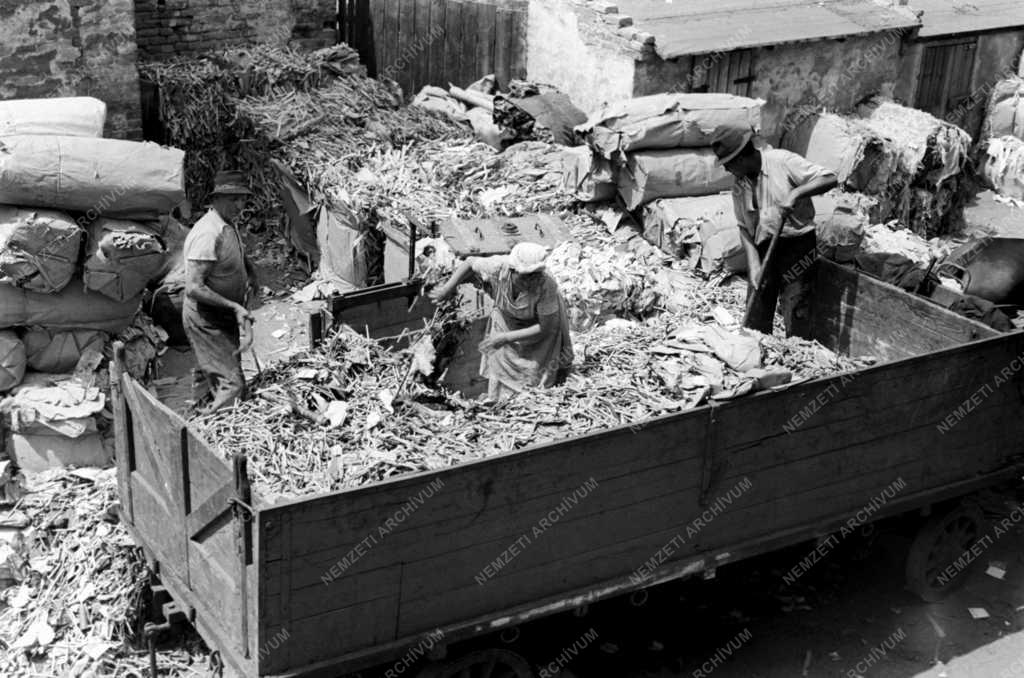 Hulladékgyűjtés - Papírgyűjtés - Újpesti MÉH telep