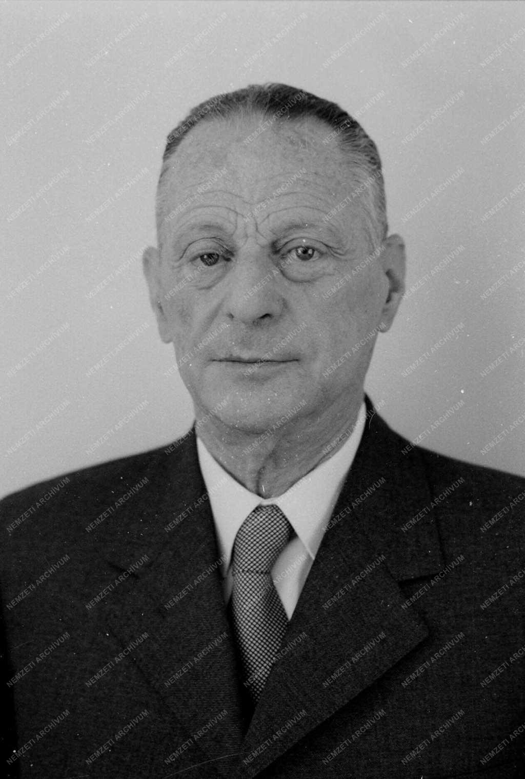 Magyar akadémikusok - Mérei Gyula 