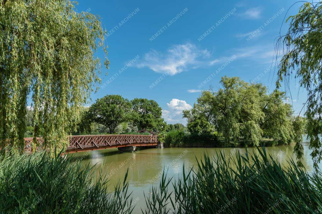 Tájkép - Nyíregyháza - Sóstó