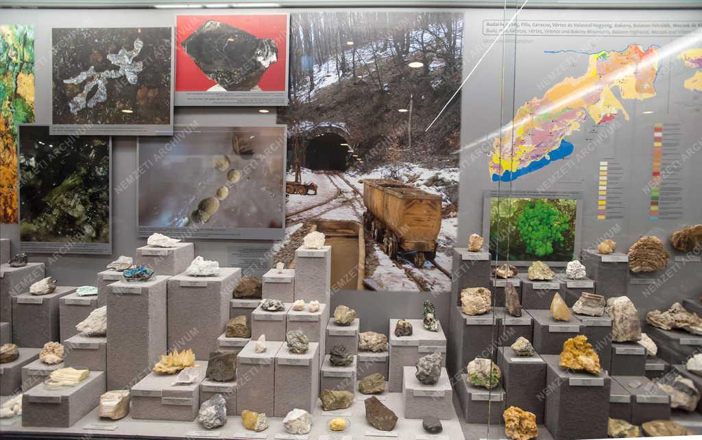 Kultúra - Miskolc - Új kiállítóhely - Pannon-tenger Múzeum