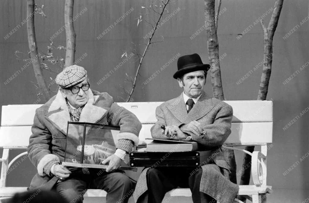 Kultúra - Televízió - Az Alfonzó Show című tv-műsor forgatása