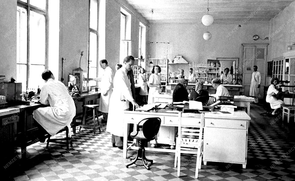 Egészségügy - A Haynal-klinika újjáépítése