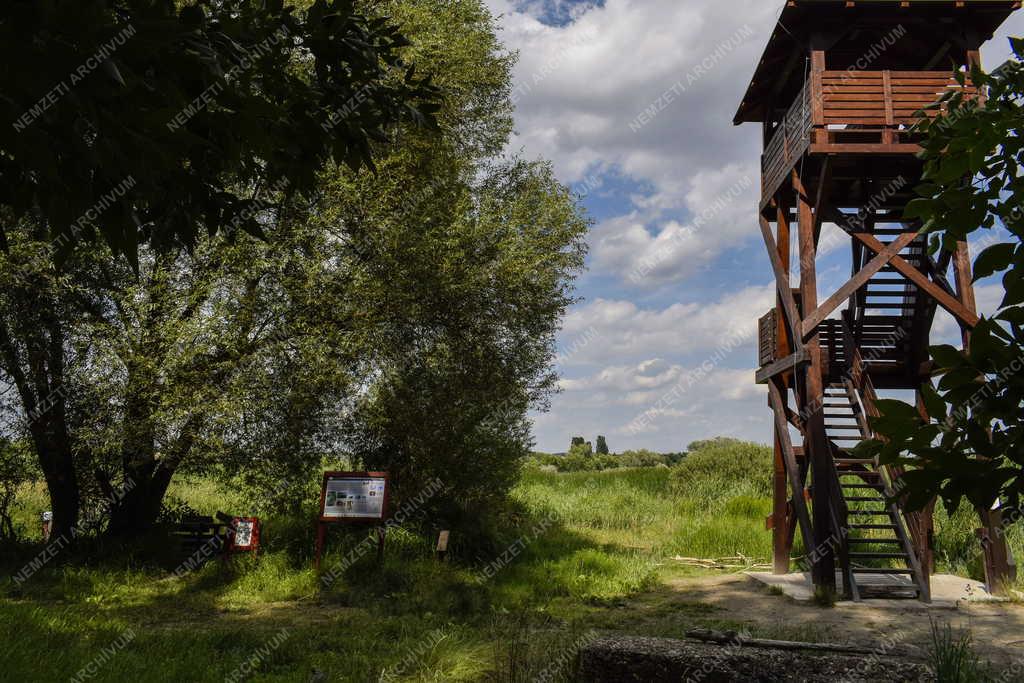 Természet - Budapest - Merzse-mocsár