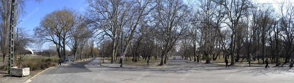 Természet - Városliget