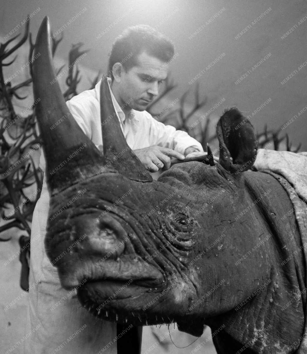 Kultúra - Természettudomány - Országos Természettudományi Múzeum állattára