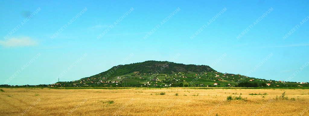  Tájkép - Somló hegy