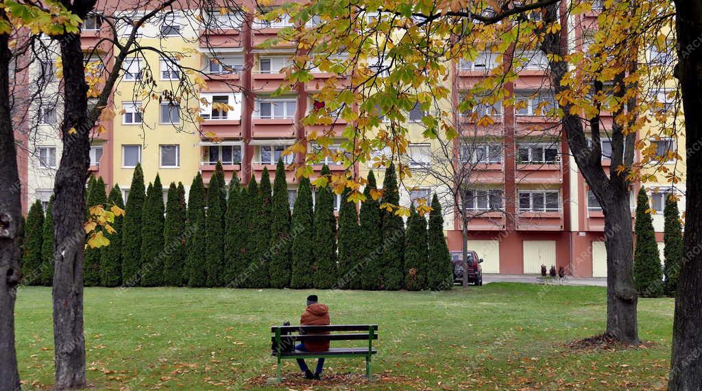 Városkép - Mosonmagyaróvár - Ősz a Mosonyi út parkjában
