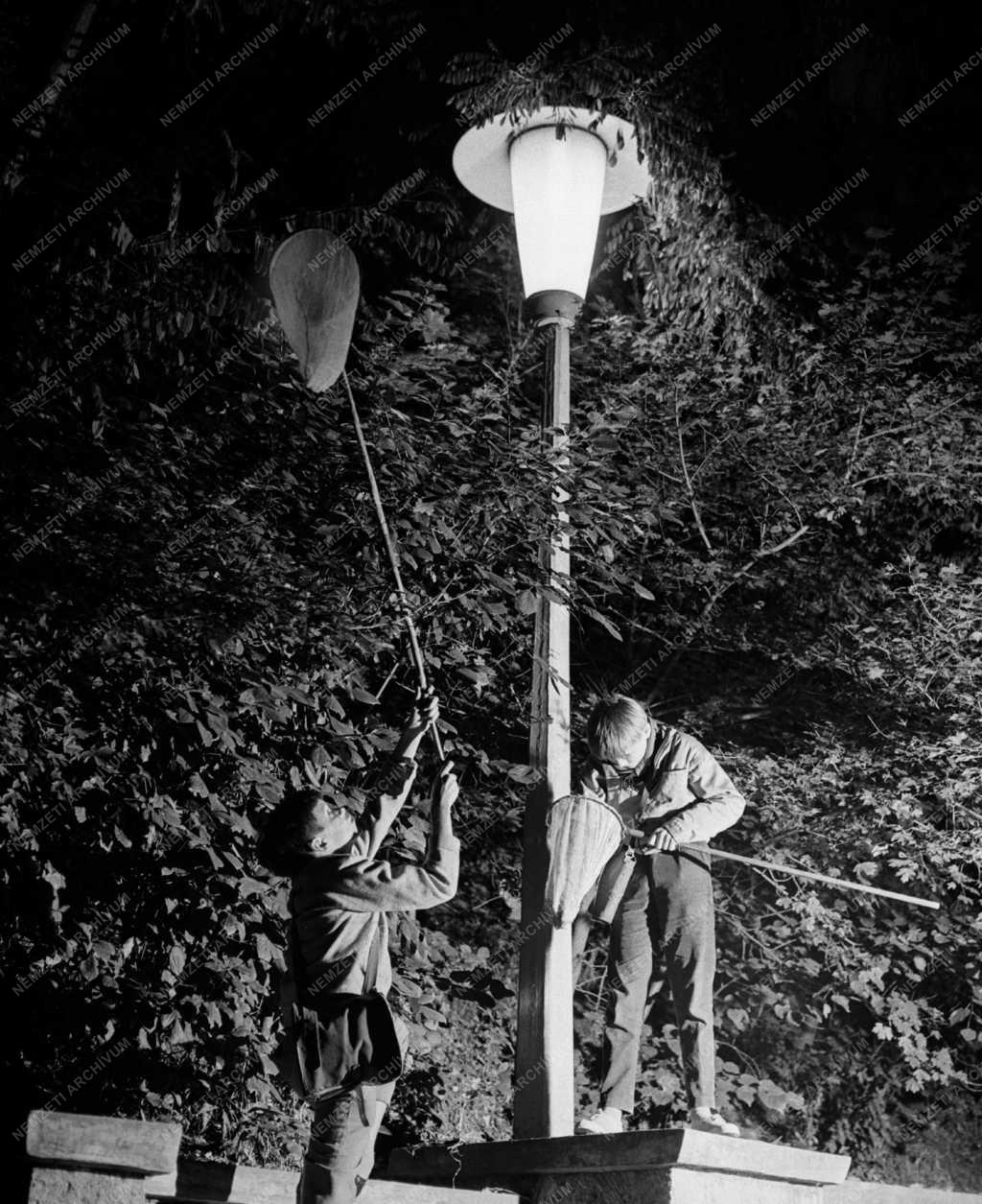 Tudomány - Ifjú természettudós testvérpár Miskolcon